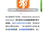 华体会国米赞助商-荷兰球员技术精湛，助力球队跻身16强