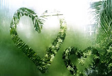 华体会APP下载-梅赛德斯力克迈凯伦，皮亚斯特里惊艳四座的简单介绍