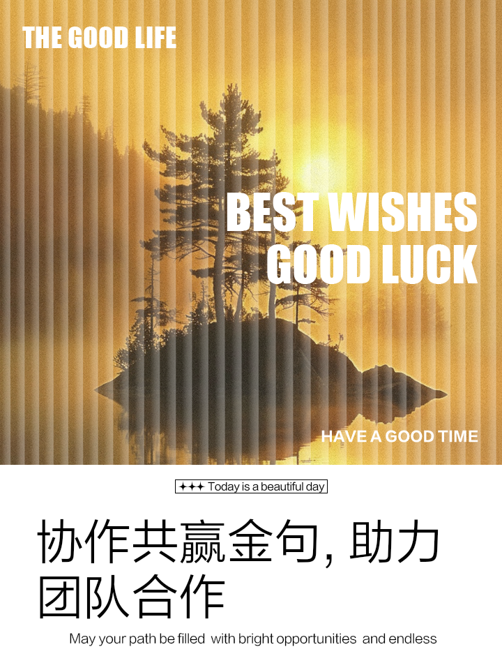 每一次进球都是成功的喜悦和团队合作的胜利