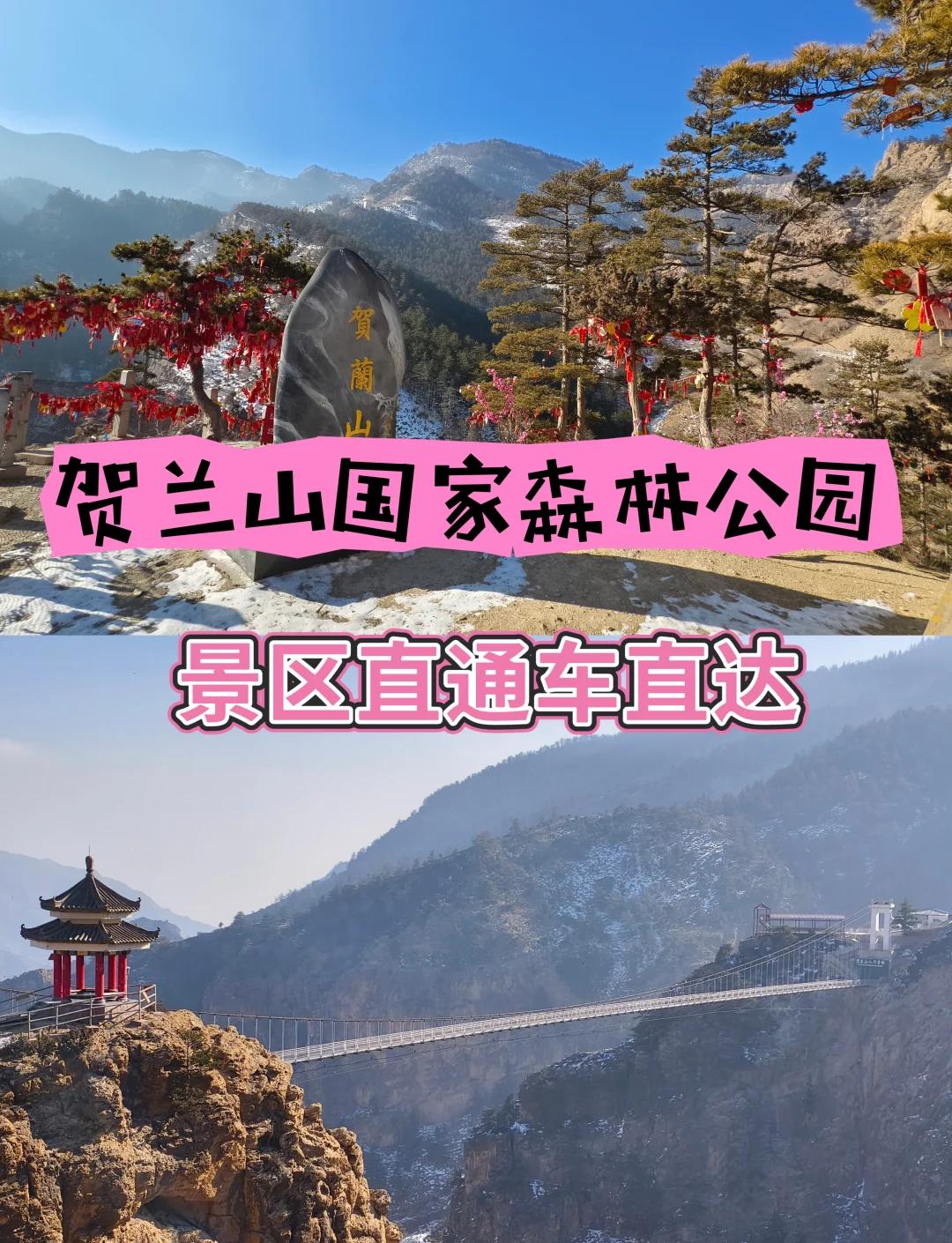银川贺兰山胜负交替，积分逐渐攀升