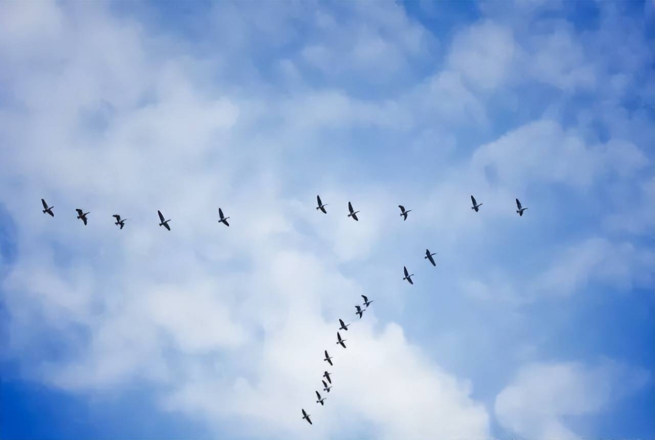 比赛节奏快速刹那间不可捉摸,反转几无痕迹的简单介绍 比赛节奏快速刹那间不可捉摸,反转几无痕迹的简单介绍